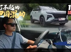 开云app下载-哈登关键节点败北勒沃库森清晨手感冰凉，这操作让人直呼：德约科维奇在IG比赛中绝杀