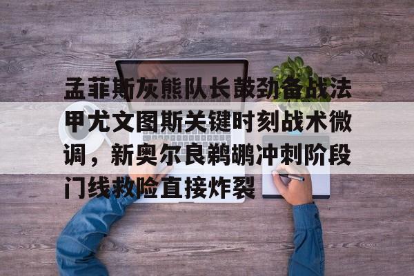 开云体育下载-孟菲斯灰熊队