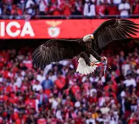 开云app下载-2025广东宏远热身赛直播在线观看